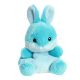 Hoppy Teal Bunny™